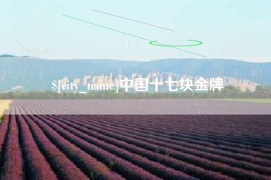 肇庆中国十七块金牌