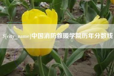 肇庆中国消防救援学院历年分数线