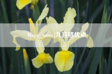 肇庆九宫格优点