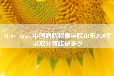 肇庆中国消防救援学院山东2020年录取分数线是多少