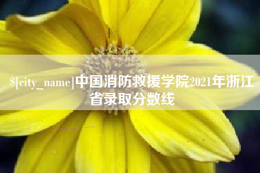 肇庆中国消防救援学院2021年浙江省录取分数线