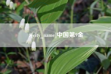 肇庆中国第9金