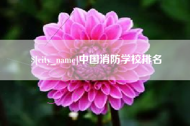 肇庆中国消防学校排名