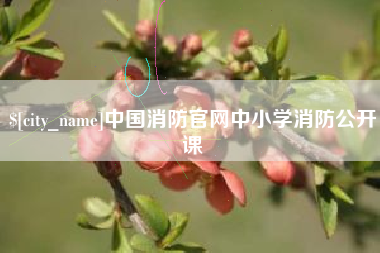 肇庆中国消防官网中小学消防公开课
