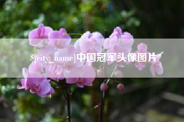肇庆中国冠军头像图片
