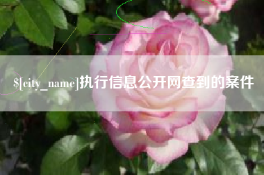 肇庆执行信息公开网查到的案件