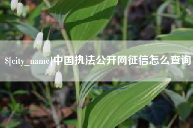 肇庆中国执法公开网征信怎么查询