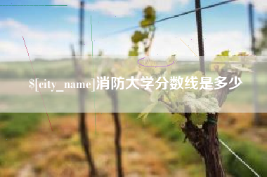 肇庆消防大学分数线是多少
