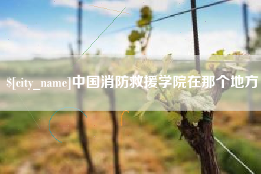 肇庆中国消防救援学院在那个地方