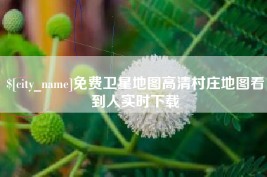 肇庆免费卫星地图高清村庄地图看到人实时下载