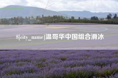 肇庆温哥华中国组合滑冰