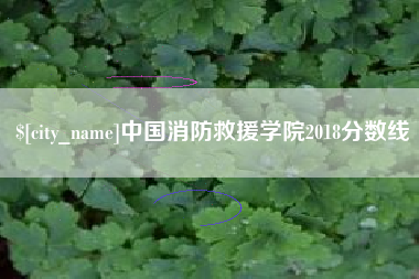 肇庆中国消防救援学院2018分数线
