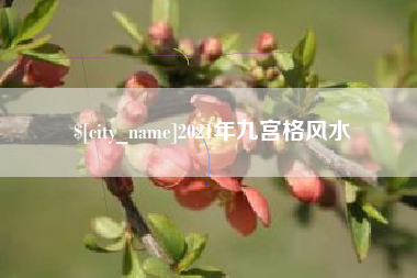 肇庆2021年九宫格风水