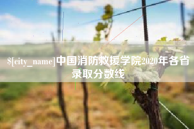 肇庆中国消防救援学院2020年各省录取分数线