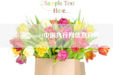 肇庆中国执行网信息官网