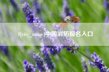 肇庆中国消防报名入口