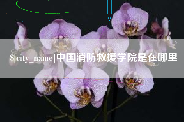 肇庆中国消防救援学院是在哪里