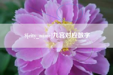 肇庆九宫对应数字