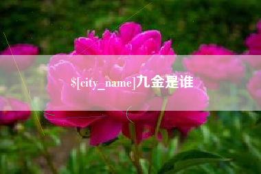 肇庆九金是谁