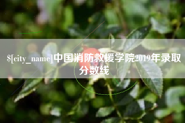 肇庆中国消防救援学院2019年录取分数线