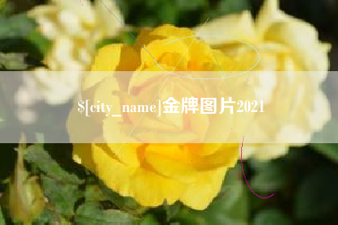 肇庆金牌图片2021