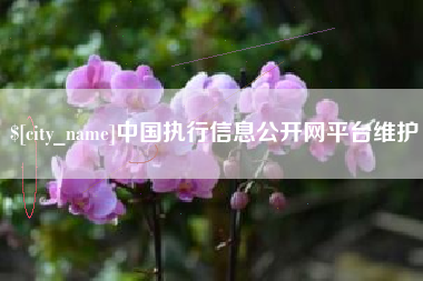 肇庆中国执行信息公开网平台维护