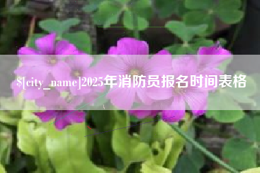 肇庆2025年消防员报名时间表格