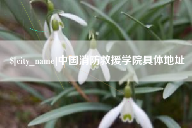 肇庆中国消防救援学院具体地址