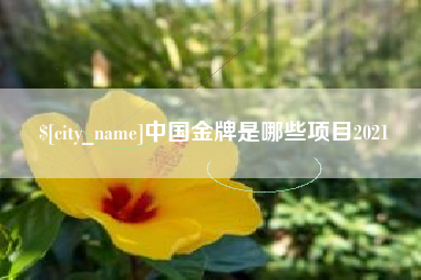 肇庆中国金牌是哪些项目2021