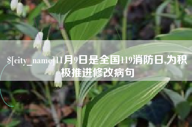 肇庆11月9日是全国119消防日,为积极推进修改病句