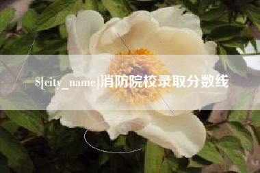 肇庆消防院校录取分数线