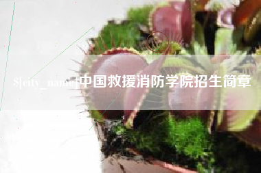 肇庆中国救援消防学院招生简章