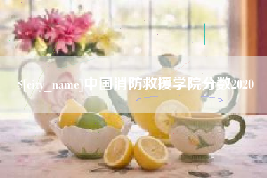 肇庆中国消防救援学院分数2020