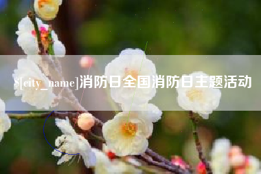 肇庆消防日全国消防日主题活动
