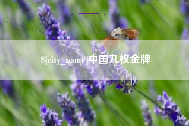 肇庆中国九枚金牌