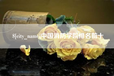 肇庆中国消防学院排名前十
