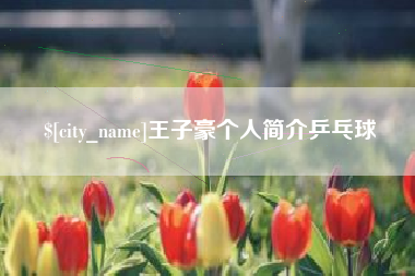 肇庆王子豪个人简介乒乓球