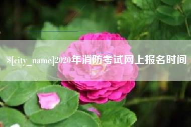 肇庆2020年消防考试网上报名时间