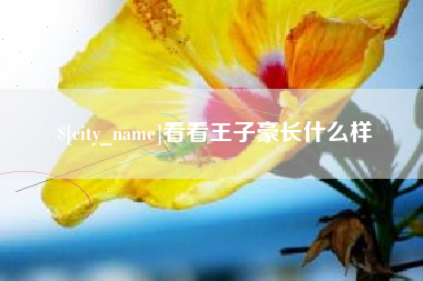 肇庆看看王子豪长什么样