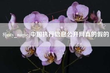 肇庆中国执行信息公开网真的假的