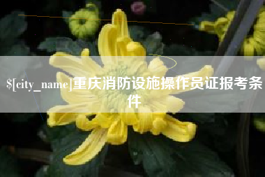 肇庆重庆消防设施操作员证报考条件