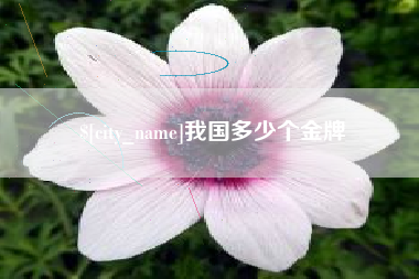肇庆我国多少个金牌