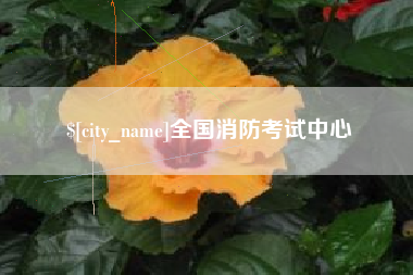 肇庆全国消防考试中心
