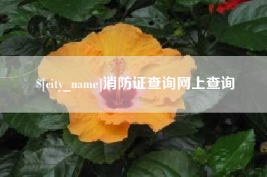 肇庆消防证查询网上查询