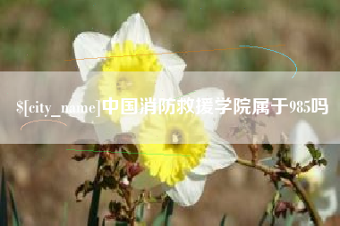 肇庆中国消防救援学院属于985吗