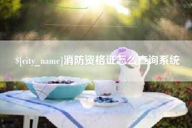 肇庆消防资格证怎么查询系统