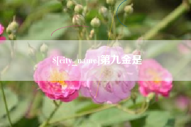 肇庆第九金是