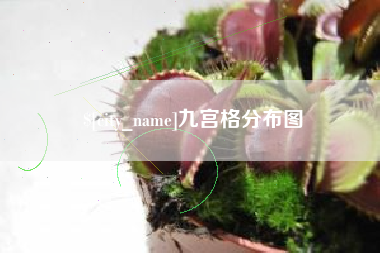 肇庆九宫格分布图