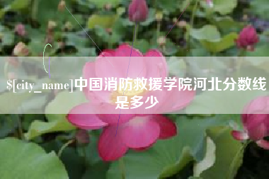 肇庆中国消防救援学院河北分数线是多少