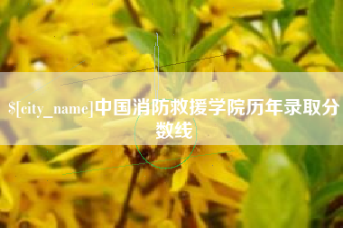 肇庆中国消防救援学院历年录取分数线